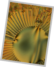 Stacks Image 20150