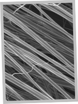 Stacks Image 20142